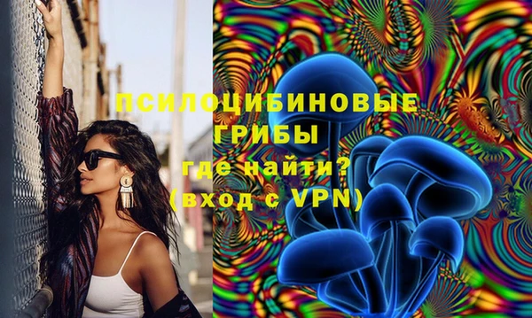 прущая мука Гусев