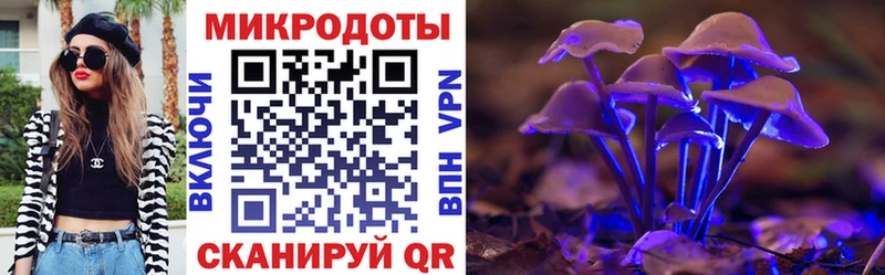где найти   Славянск-на-Кубани  Псилоцибиновые грибы GOLDEN TEACHER 