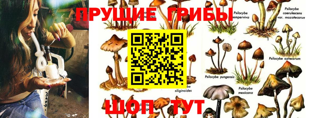 Славянск-на-Кубани  продажа наркотиков  Вход с VPN  Галлюциногенные грибы Magic Shrooms 