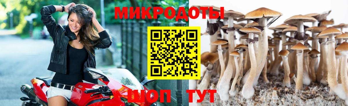 Гашиш  Лсд 25  Славянск-на-Кубани  Вход с VPN  Меф МЯУ МЯУ   ТГК  COCAIN  МАРИХУАНА  А ПВП СК кристаллы 