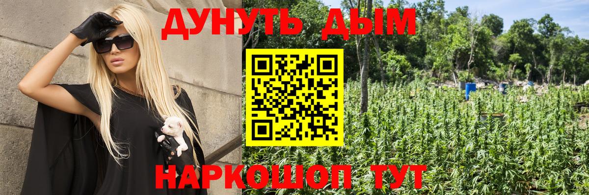 Шишки марихуана сатива  Бошки марихуана планчик  Каннабис OG Kush  Канабис Ganja  Славянск-на-Кубани 